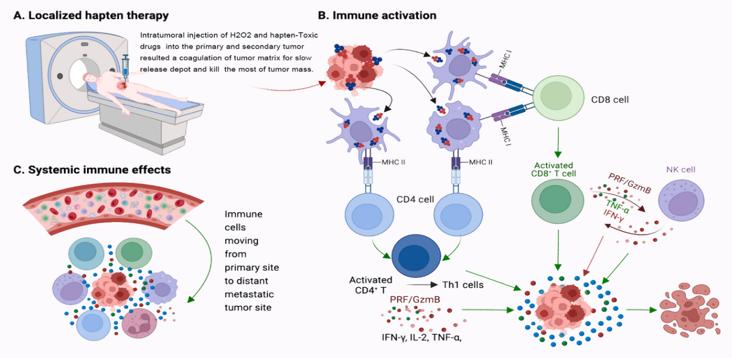 Cancer Immune Surgery