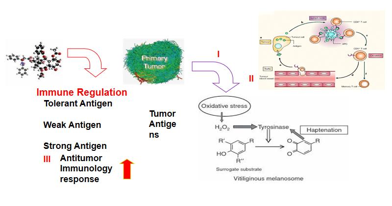 Tumor Gene Testing